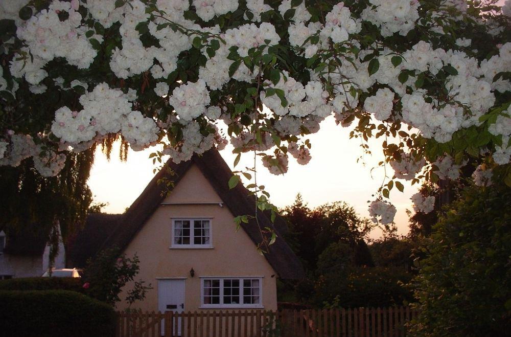 Chequer Cottage Horseheath Exterior photo